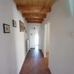 منزل ريفي Casa Natale