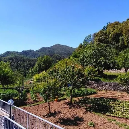 Casa Natale *
