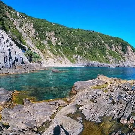 Casa di campagna Casa Natale *