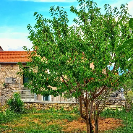 Casa Natale *
