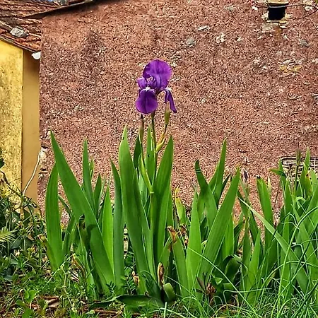 Casa Natale * Corvara (Liguria)